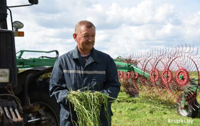 На Крупщине ведется первый укос многолетних трав