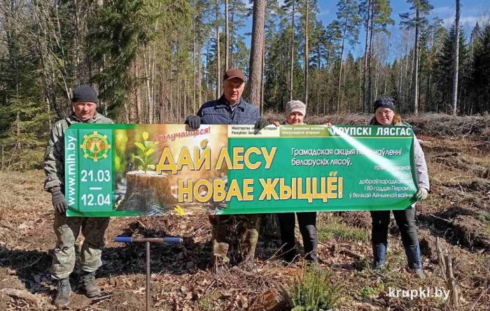 Сотрудники прокуратуры района приняли участие в акции  «Дай лесу новае жыццё»