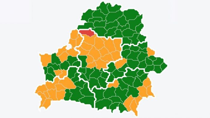 Запрет и ограничения на посещение лесов действуют в 41 районе Беларуси