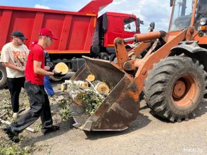 Крупская молодежь приняла участие в трудовой акции по ликвидации последствий урагана на Могилевщине