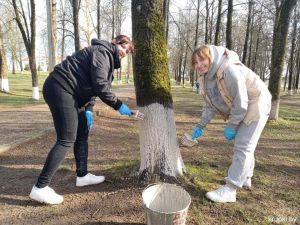 Cотрудники Центра по обеспечению деятельности бюджетных организаций наводят чистоту в городском парке
