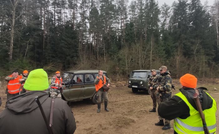 Спецоперация &laquo;Охота&raquo;: как инспекторы ловят нарушителей в лесах Крупщины