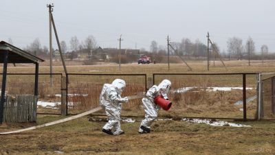 На Крупщине провели тактико-специальные учения с командирами отделений из Жодино, Крупок и Борисова