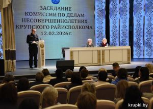 На заседании Комиссии по делам несовершеннолетних райисполкома подвели итоги работы за 2025 год