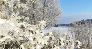 Фоторепортаж: морозная зима во всей красе