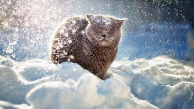 Зимой увеличивается число пациентов у травматолога. Спросили у специалиста как избежать травм