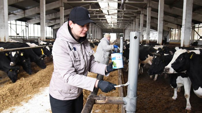 На Крупщине активно проходит субботник