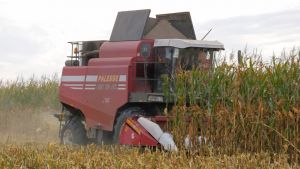 Лукашенко поставил жесткие задачи по сельхозработам