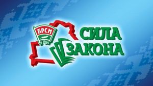 Почти 400 участников соберет второй тур республиканского правового турнира &laquo;Сила Закона&raquo;