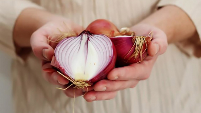 Ученые определили продукт, помогающий улучшать память