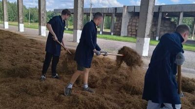 В Крупском районе приступили к работе 2 студенческих отряда