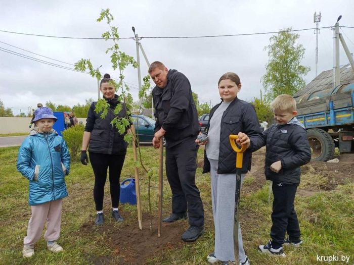 В городском поселке Бобр во время субботника депутаты и местные жители высадили рябиновую аллею