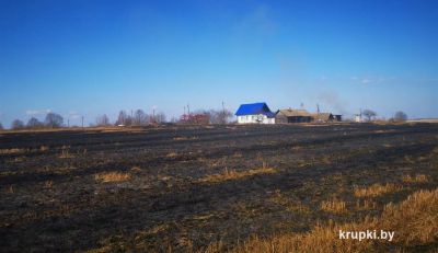 Спасатели выезжали на загорание сухой растительности в деревне Козубец