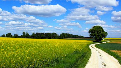 Белорусские маршруты могут побороться за премию «Маршрут построен – 2025-2026»