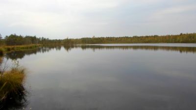 Поздравление председателя Крупского райисполкома с Днем мелиоратора