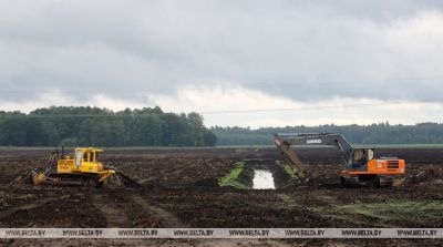 &quot;Раньше относились безобразно, теперь приходится брать штурмом&quot;. Лукашенко подчеркнул важность мелиорации