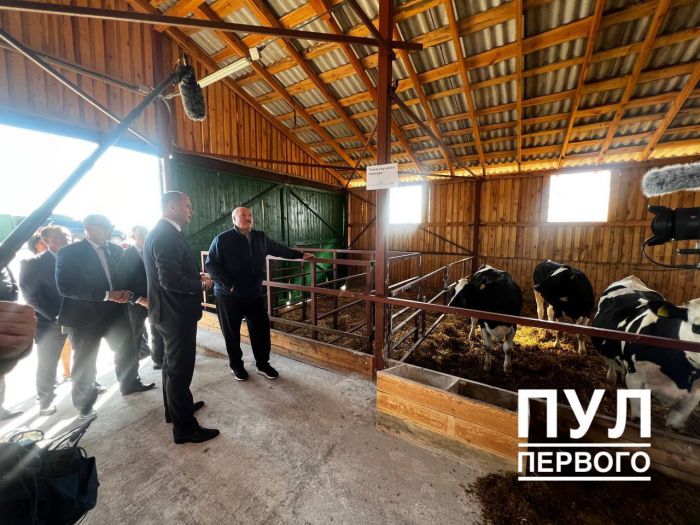 Лукашенко показали идеальный молочно-товарный комплекс. В чем его секрет?