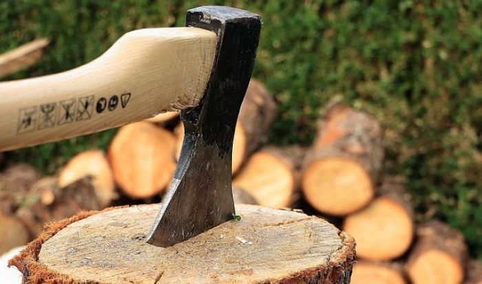 Крупский лесхоз предлагает несколько вариантов заготовки дров