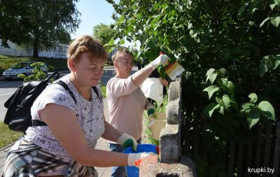 Крупчане обновили вид заборов по улице Кирова