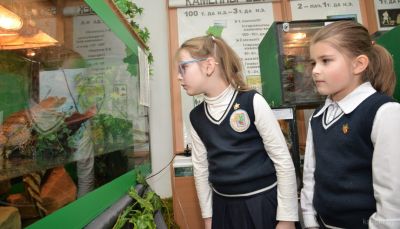 У Крупскім музеі адкрылася выстава экзатычных жывёл «Жывы куток»