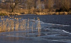 В минувшие выходные на водоемах Беларуси утонули 2 детей