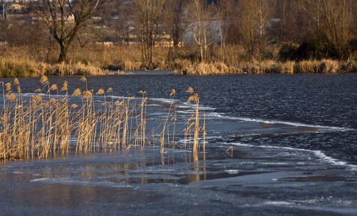 В минувшие выходные на водоемах Беларуси утонули 2 детей