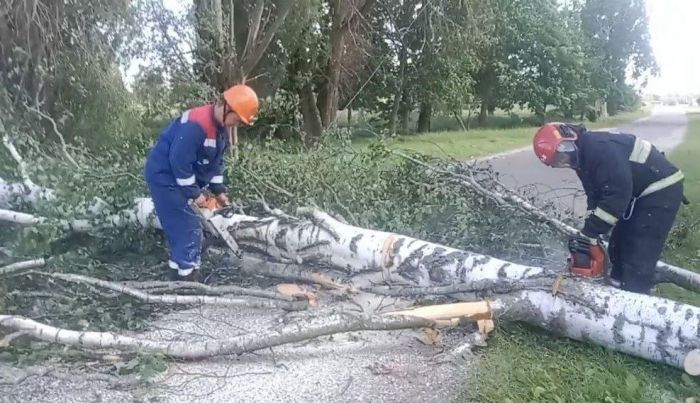 МЧС: Упавшие деревья и 670 населенных пунктов без электричества