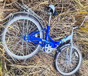 Пешая группа нашла велосипед пропавшего в Березинском районе подростка