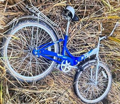 Пешая группа нашла велосипед пропавшего в Березинском районе подростка