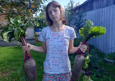 14-летняя Екатерина Чиркова собрала хороший урожай свеклы