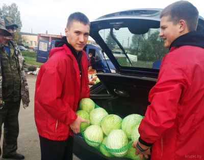 Волонтеры БРСМ помогают пожилым людям на осенних ярмарках