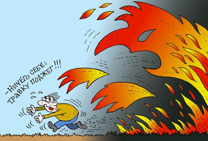 Весенняя уборка: правила безопасного костра