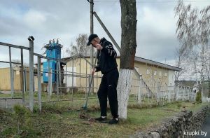 В Крупках организовали трудовую занятость граждан, состоящих на учете в ОВД