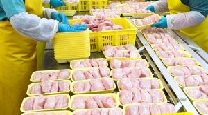 БелТА: В Крупском районе сделали ставку на птицу – инвестируют в ее производство Br50 млн