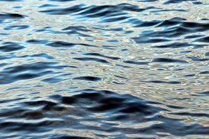 Основными причинами несчастных случаев на воде по-прежнему остаются: нахождение в воде в состоянии алкогольного