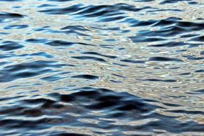Основными причинами несчастных случаев на воде по-прежнему остаются: нахождение в воде в состоянии алкогольного
