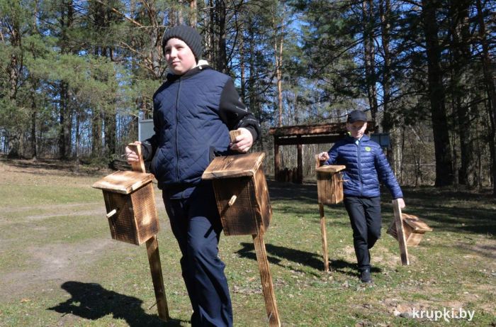 Экологическая тропа «Прошикские болота» пополнилась жильем для пернатых