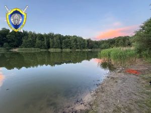 В Минском районе утонул подросток