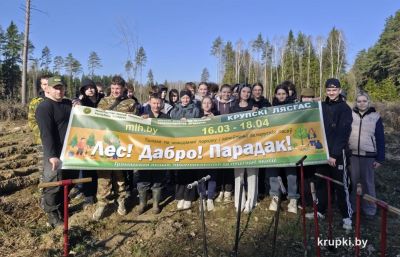 Учащиеся средней школы пос. Крупского принимают участие в акции "Лес. Дабро. Парадак"
