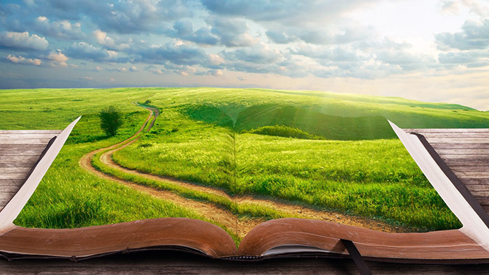 С 6 по 10 февраля пройдет Минская международная книжная выставка-ярмарка