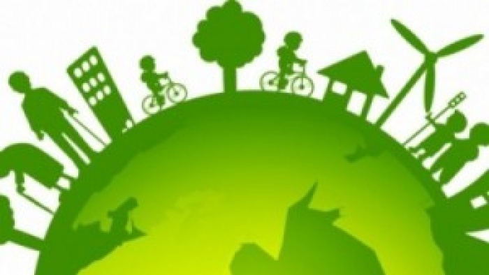 На борьбу с борщевиком Сосновского уходят немалые деньги