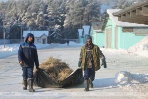 Как африканские парни трудятся на ферме в Лидском районе