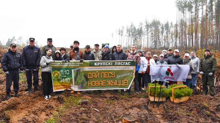 Значительный объем работ по благоустройству и озеленению выполнят сегодня в районе