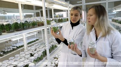 Молодые ученые из Беларуси, России, Китая и Армении обсудят вопросы межкультурной коммуникации