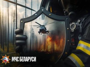 В Крупском районе стартует акция «Зеленый щит» против пожаров в экосистемах