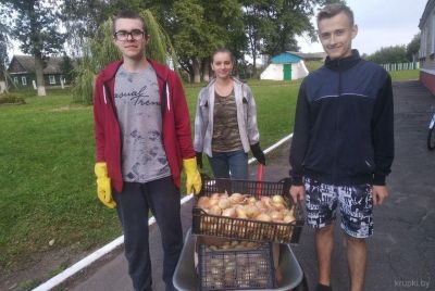 Школьнікі з Халопеніч падвялі першыя вынікі цыбульнага эксперыменту