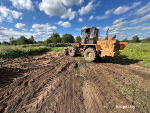 В Крупском районе уничтожено поле дикорастущей конопли площадью 1 га
