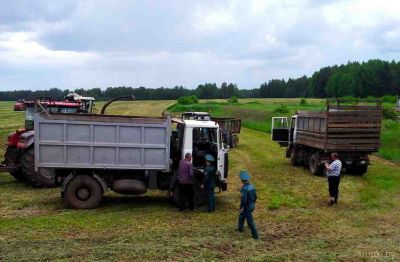 В Крупском районе проходят ежедневные рейды по местам хранения, уборки и переработки урожая