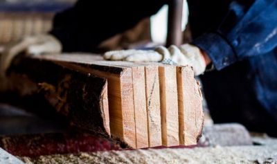 Физлица получат право покупать деловую древесину напрямую в лесхозах