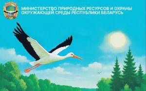 На страже экологической безопасности: как работает природоохранная инспекция Крупского района